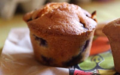 Blueberries muffins
